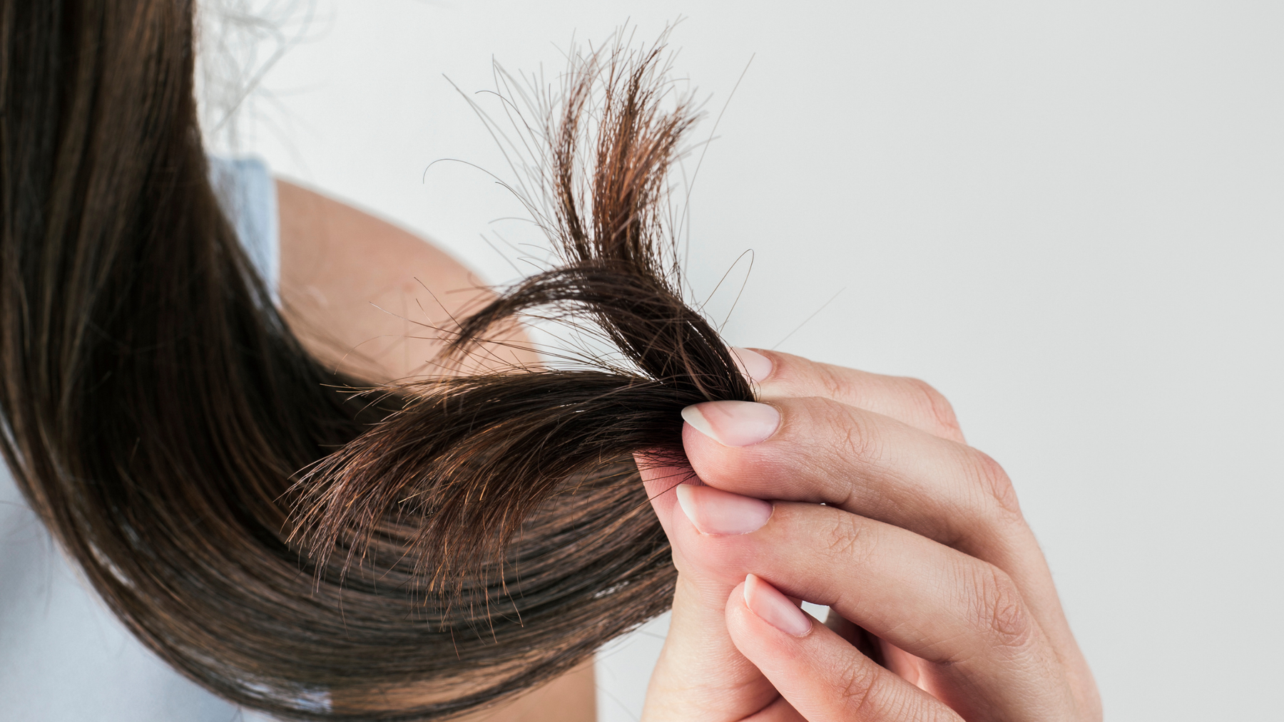 Ask a Pro: Is My Hair Actually Damaged — Or Just Dry?