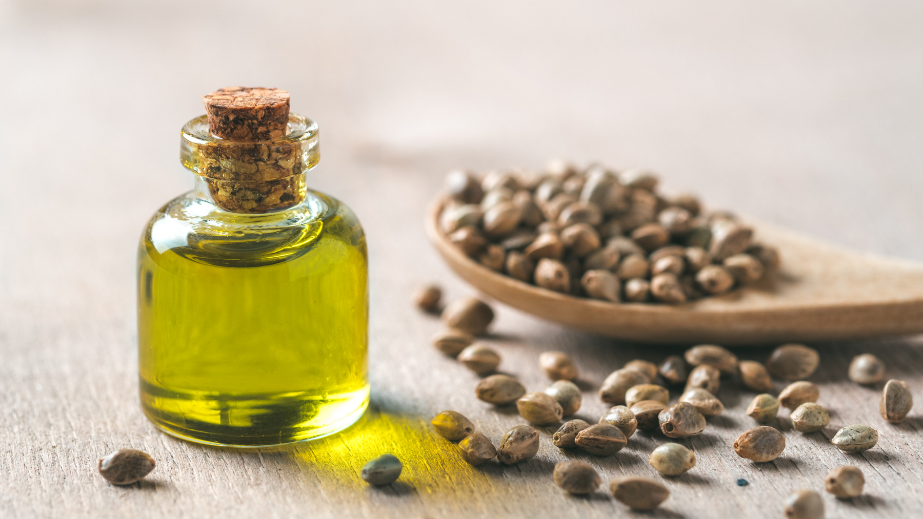 Ingredient Spotlight: Hemp Seed Oil in Haircare