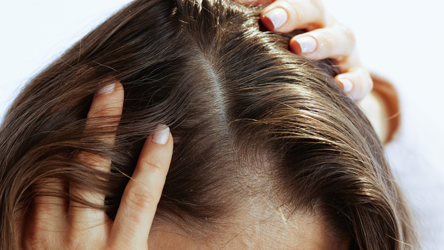 Hair Porosity: The Reason Some Products Never Work for You